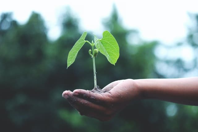 Verander De Wereld Met Deze 3 Plasticvrije Producten